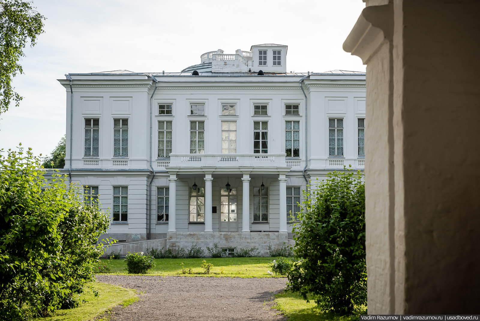 флора Богородицка, июнь 2020 года, Тульская область