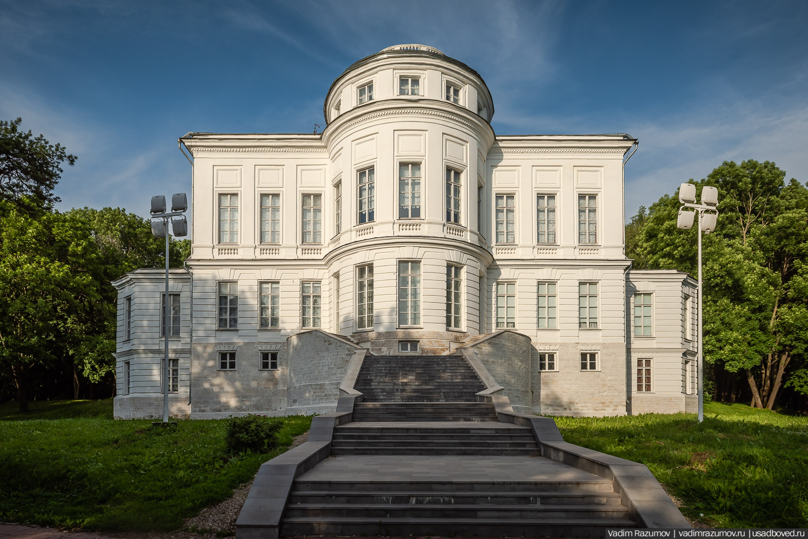 флора Богородицка, июнь 2020 года, Тульская область