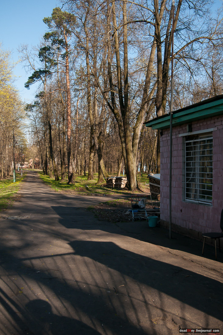 усадьба Чижово, Балашихинский район