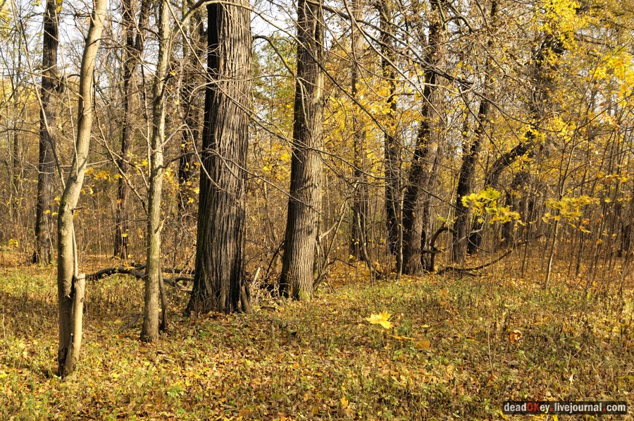 http://www.razumov.biz/foto/manor/obraztsovo/small/obraztsovo_013_deadokey.livejournal.com.jpg