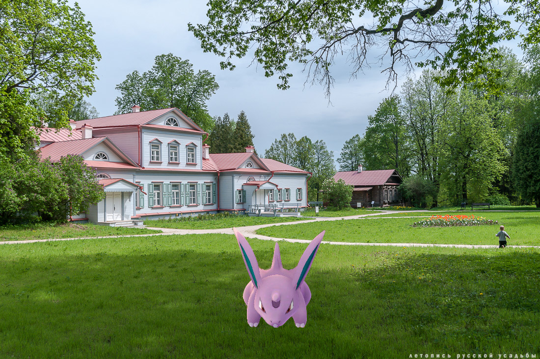 Pokemon GO   