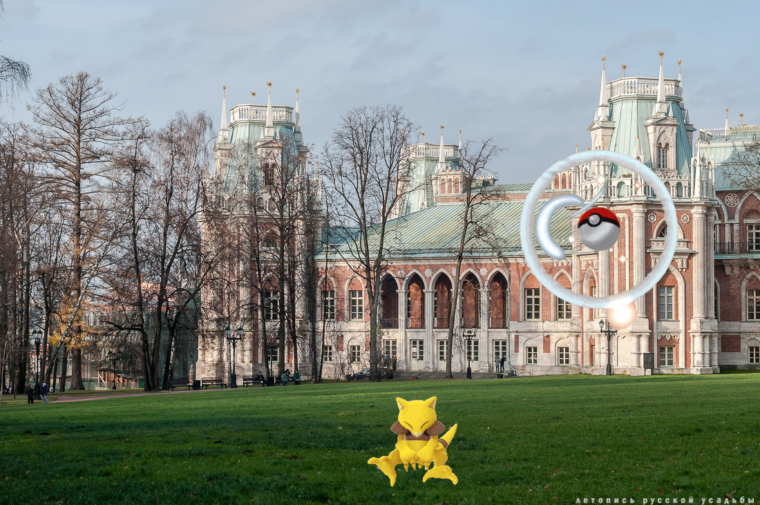 Pokemon GO   